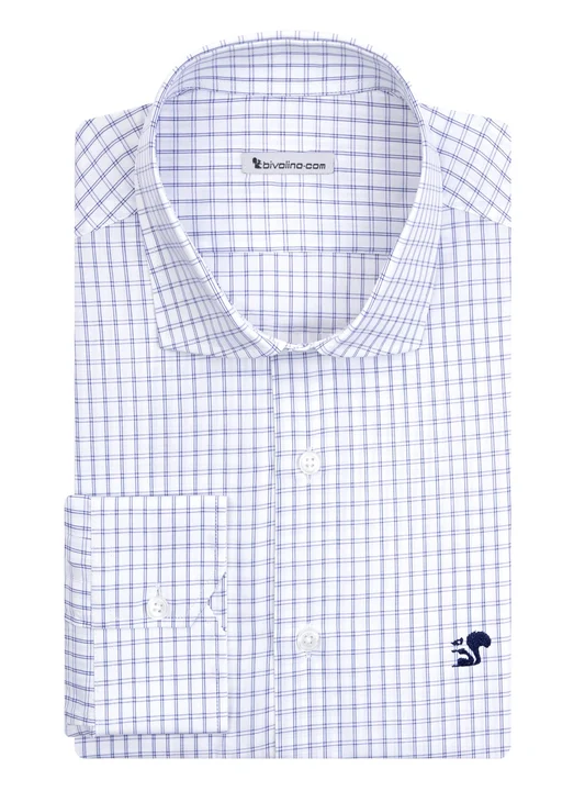 ALDERO - Checked blue poplin shirt - CARO 3