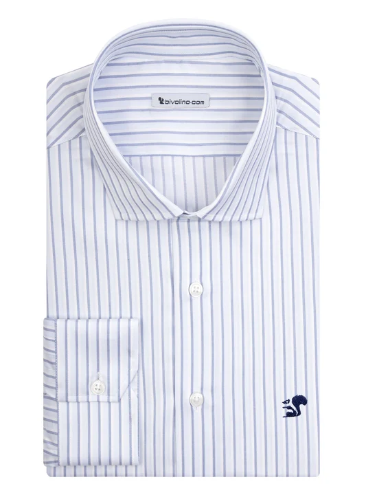 ALDESINO - Blue striped poplin shirt - FALI 8