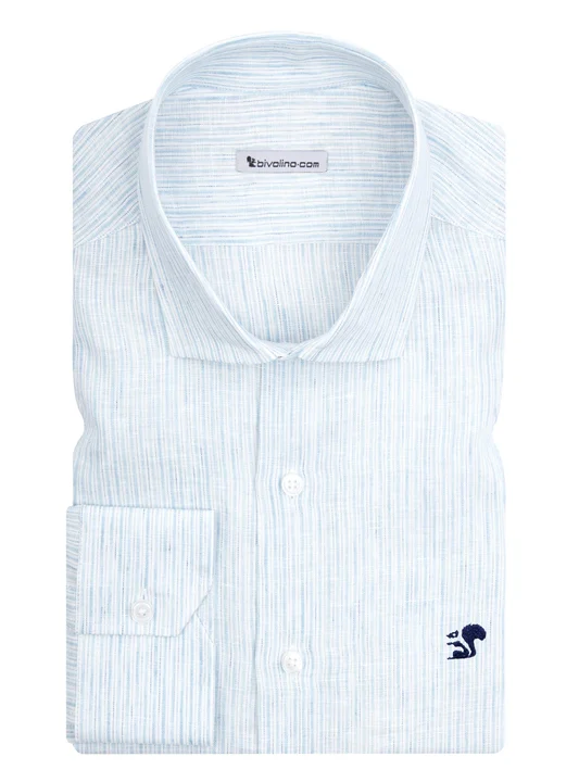 ALDEMIO - blue striped poplin shirt - NEON 27