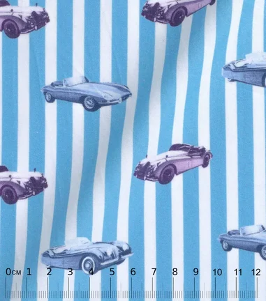JAGUAR E-Type PRINT