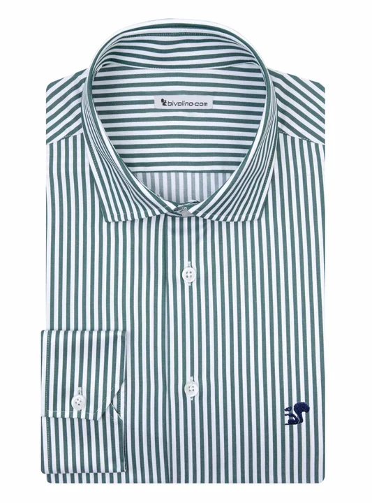 AIRALDO - Striped green twofold egyptian cotton twill shirt - DOCRA 12