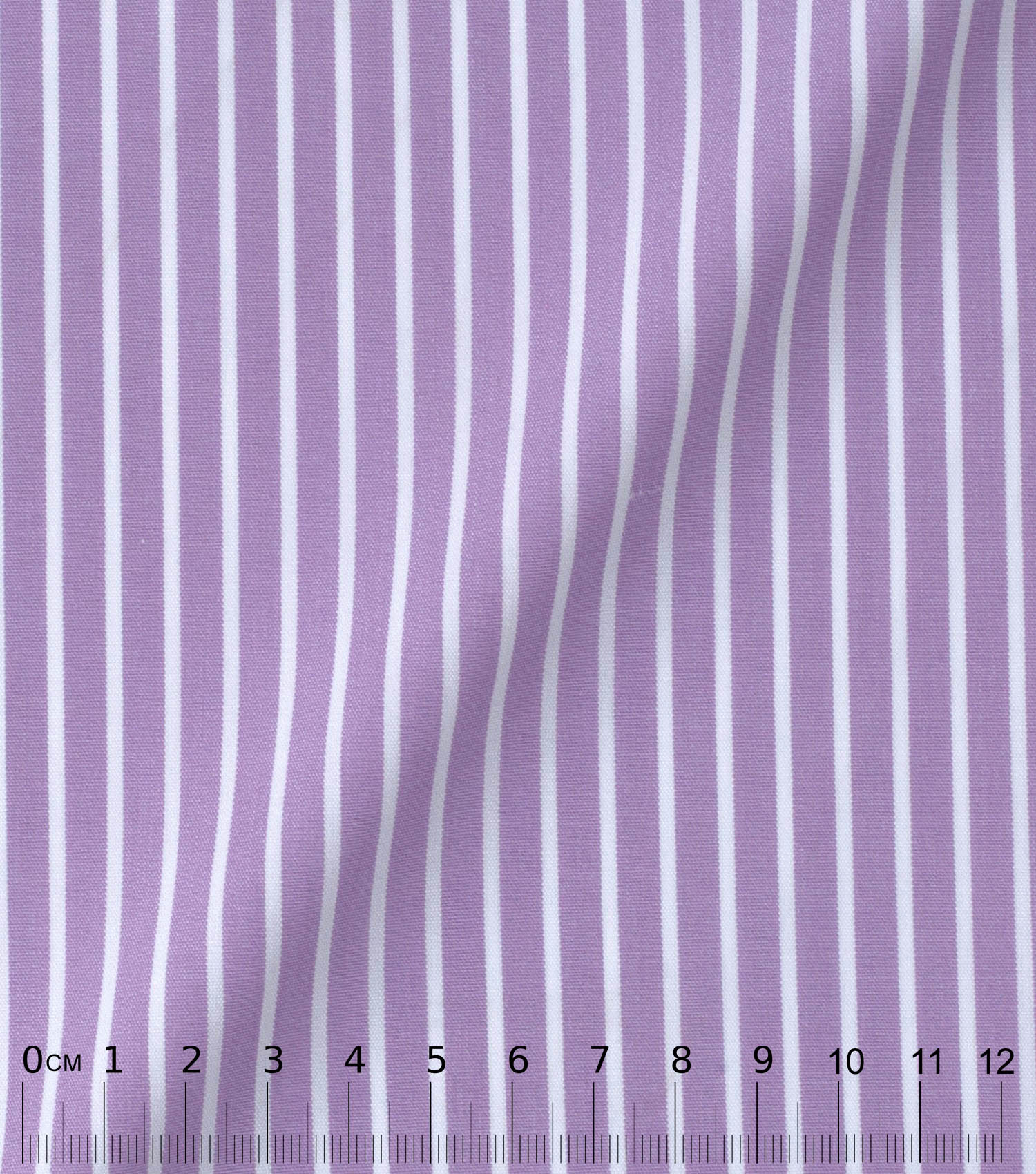 malva
