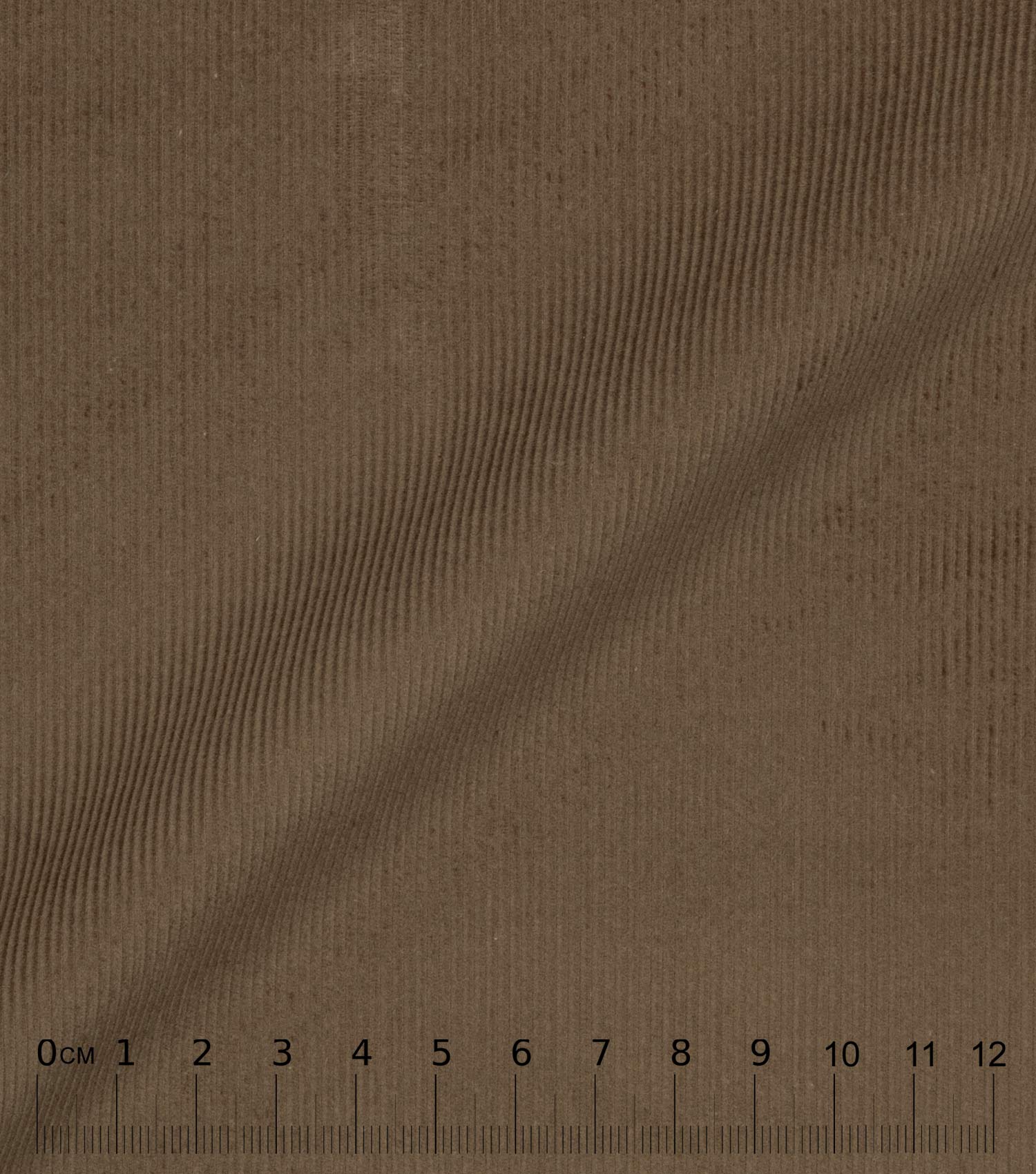 BABYCORD  - Brown 100% cotton velour, warm winter fabric