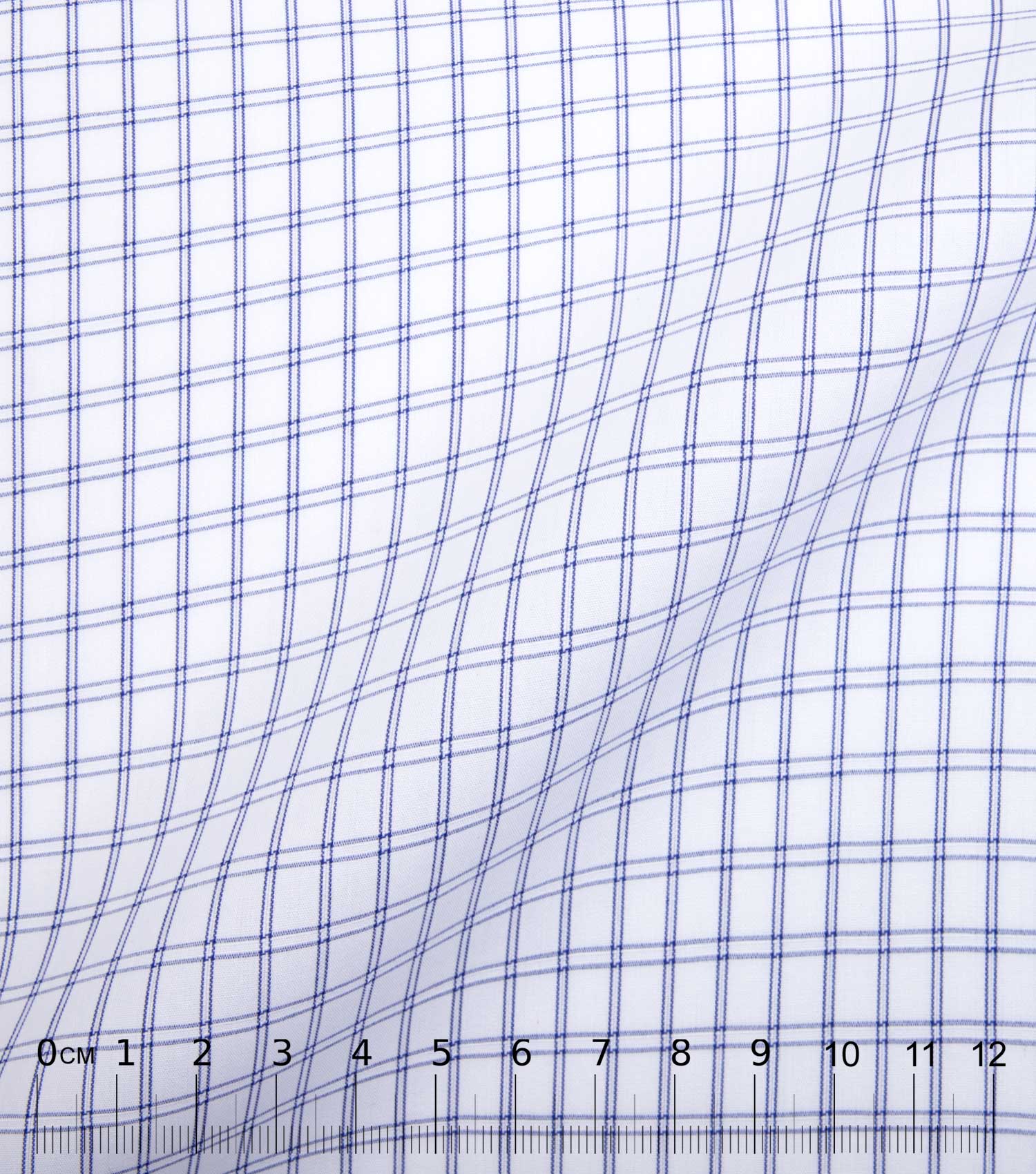 CARO - Checked blue poplin