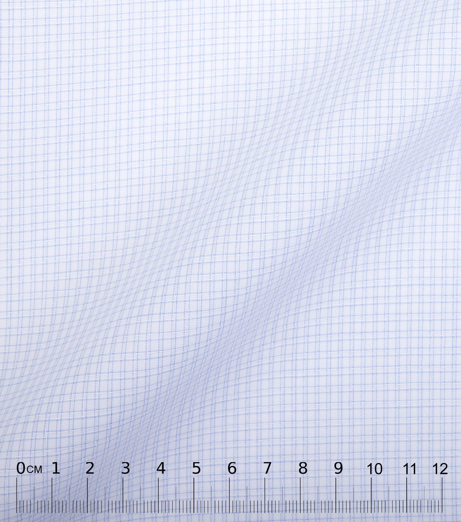 CARO - Checked skyblue poplin